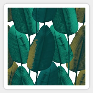 Dark summer tropical textural leaves. Vibrant banana leaves. Night jungle foliage Sticker